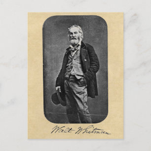 Walt Whitman Age 41 Portrait Postcard