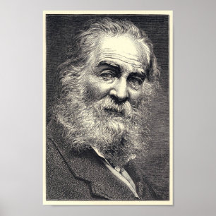Walt Whitman Engraving, Age 52 Poster