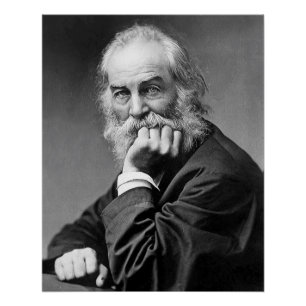 Walt Whitman Essential Portrait, Age 50 Perfect Poster