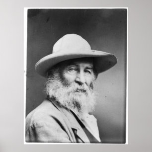 Walt Whitman Portrait a.k.a. The Quaker Photo Poster