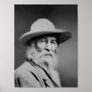 Walt Whitman Portrait Poster