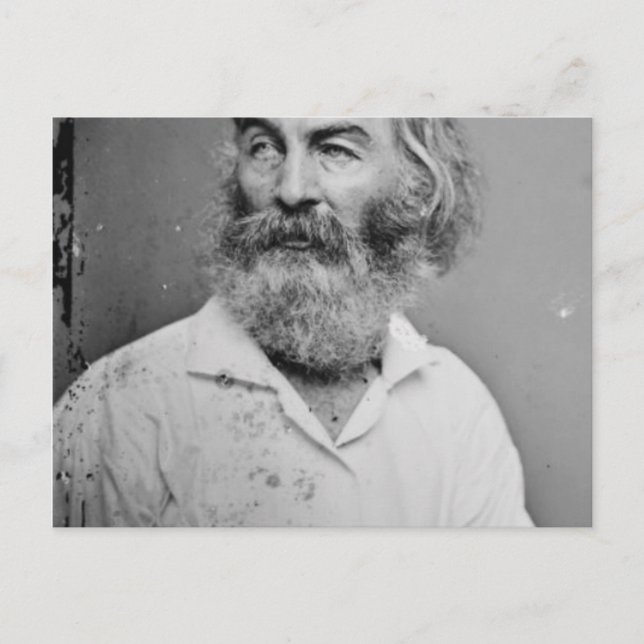 Walt Whitman Postcard (Front)