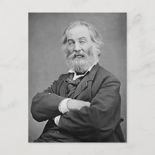 Walt Whitman Seated Portrait Photograph Age 47 Postcard