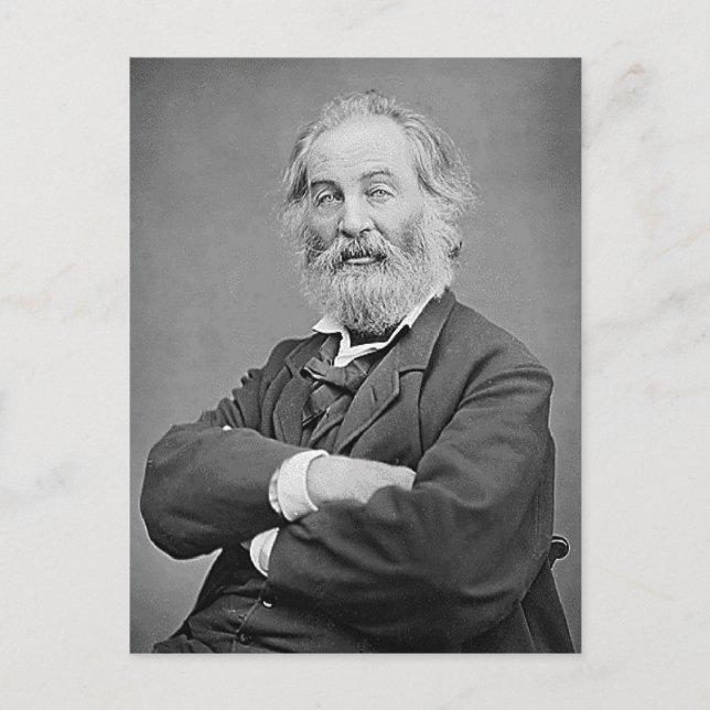 Walt Whitman Seated Portrait Photograph Age 47 Postcard (Front)