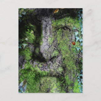 "Walt Whitman: The Green Man" Postcard