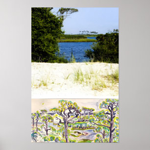 Walter Anderson painting Poster
