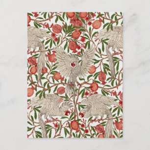 Walter Crane White Cockatoo Red Pomegranate Art Postcard