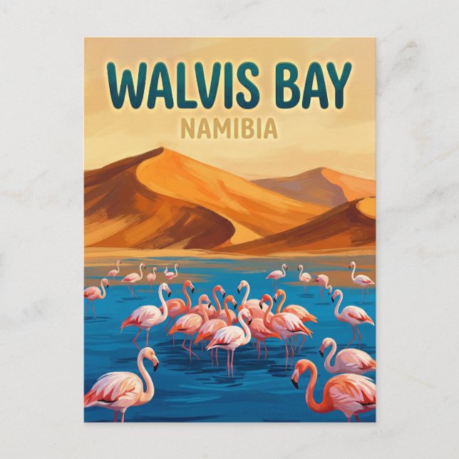Walvis Bay Lagoon Namibia Postcard (Front)