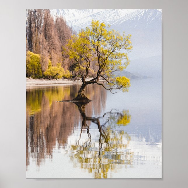 Wanaka Tree Autumn Nature Landscape Poster (Front)