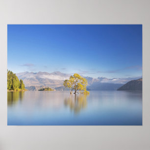 Wanaka Tree New Zealand Landscape Photography Poster
