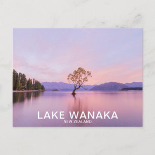 Wanaka Tree Sunrise Nature Travel Postcard