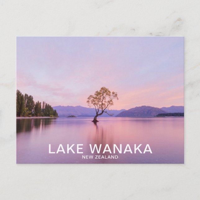 Wanaka Tree Sunrise Nature Travel Postcard (Front)