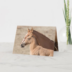 Wanda the Wild Filly Wild Horse Greeting Card