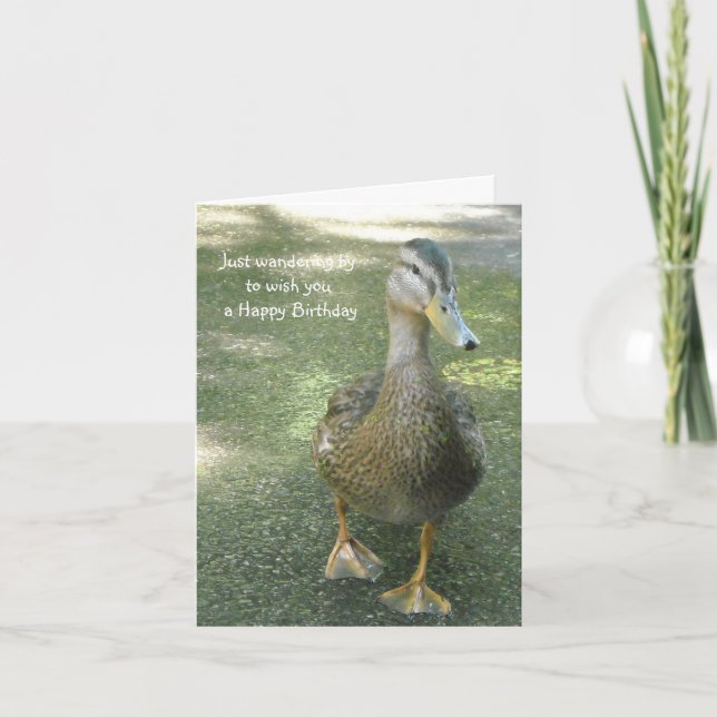 Wandering Duck Birthday Greetings Card (Front)