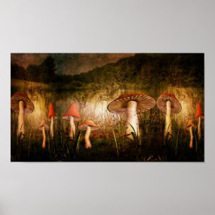 Wandering In Delight Poster