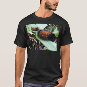 Wandering Woolly Bears T-Shirt