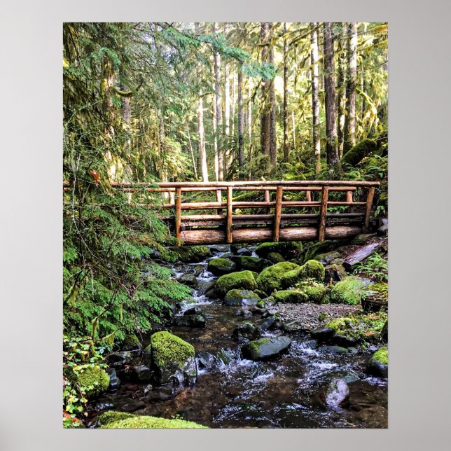 Wanderlust Beauty // Peaceful Waters Poster (Front)