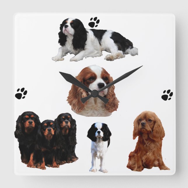 Wanduhr Cavalier-King-Charles-Spaniel Square Wall Clock (Front)