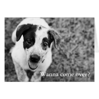 Wanna come over?