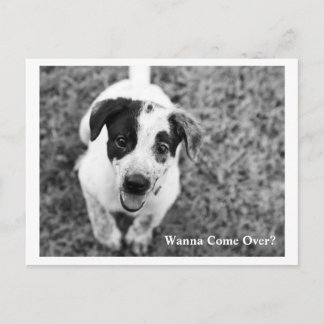 Wanna Come Over? Postcard