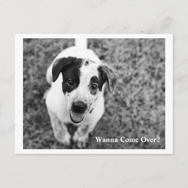 Wanna Come Over? Postcard (Front)