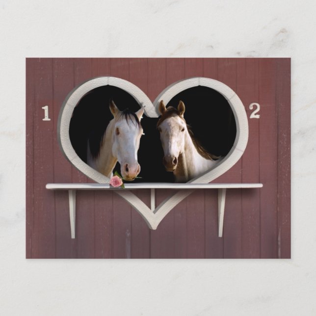 Wanna Horse Around? Postcard (Front)