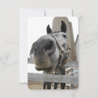 Wanna Horse Around Thank You Card