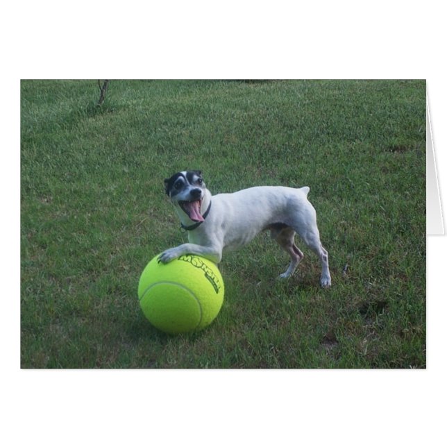 Wanna Play? (Front Horizontal)