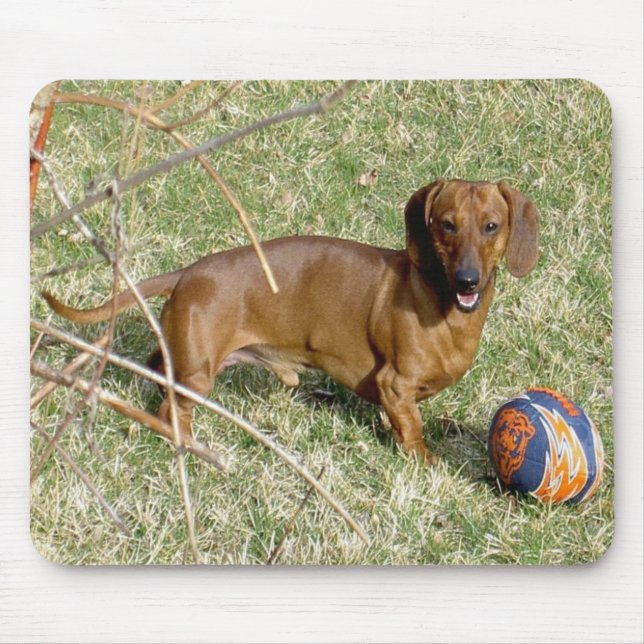 Wanna Play? Mouse Mat (Front)