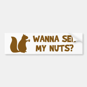Wanna See My Nuts? - Funny Squirrel Lovers Humour Bumper Sticker