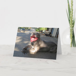 Wanna Smooch Pitbull Valentine's Day Card