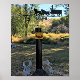 Want a Facelift, Smile, Funny Sign