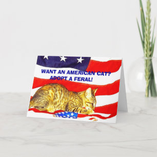 Want an American Cat? Adopt a Feral! Card