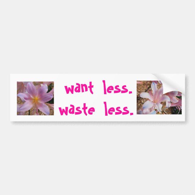 want  less. waste  less. bumper sticker (Front)