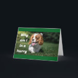 WANT TO BE 1st TO SAY "MERRY CHRISTMAS" Holiday Card<br><div class="desc">SAY IT IN A "SPECIAL WAY" SO THEY KNOW YOU CHOSE THIS CARD JUST FOR THEM. AND,  MERRY CHRISTMAS TO YOU!</div>