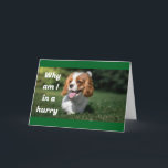 WANT TO BE 1st TO SAY "MERRY CHRISTMAS" Holiday Card<br><div class="desc">SAY IT IN A "SPECIAL WAY" SO THEY KNOW YOU CHOSE THIS CARD JUST FOR THEM. AND,  MERRY CHRISTMAS TO YOU!</div>