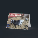 WANT TO BE 1st TO SAY "MERRY CHRISTMAS" Holiday Card<br><div class="desc">SAY IT IN A "SPECIAL WAY" SO THEY KNOW YOU CHOSE THIS CARD JUST FOR THEM. AND,  MERRY CHRISTMAS TO YOU!</div>