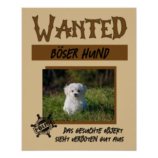 Wanted 1, personalizable poster