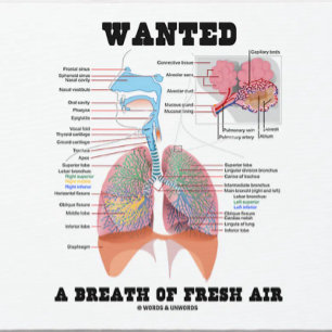 Wanted A Breath Of Fresh Air (Respiratory System) Mouse Mat
