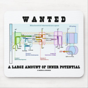 Wanted A Large Amount Of Inner Potential Mouse Mat