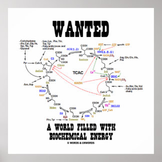 Wanted A World Filled With Biochemical Energy Poster