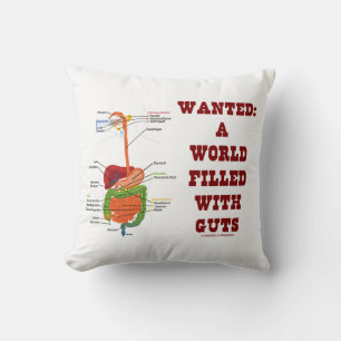 Wanted A World Filled With Guts Digestive System Cushion