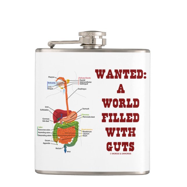 Wanted A World Filled With Guts (Digestive System) Hip Flask (Front)