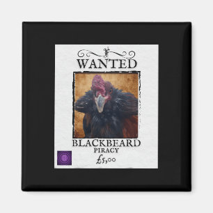 Wanted Blackbeard Chicken Funny Pirate Poster Desi Magnet