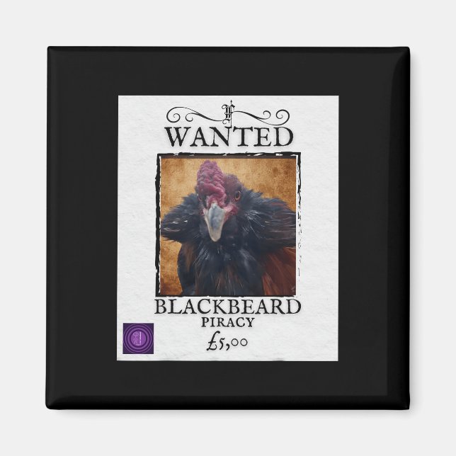 Wanted Blackbeard Chicken Funny Pirate Poster Desi Magnet (Front)