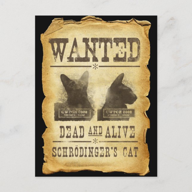 Wanted dead and alive.  Schroedinger's cat. Postcard (Front)