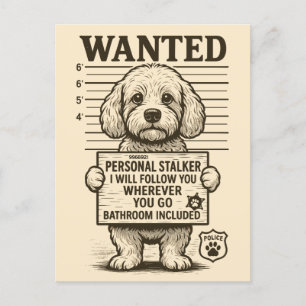 Wanted Funny Dog Personal Stalker Holiday Postcard