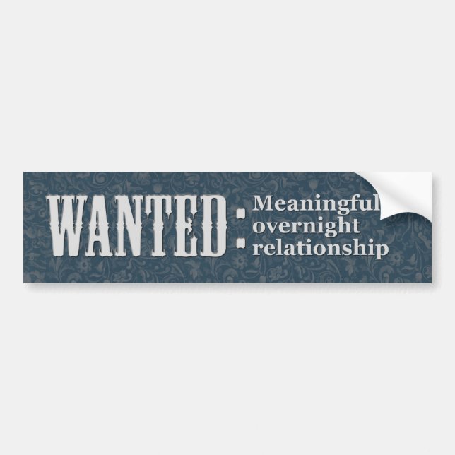 WANTED Meaningful overnight relationship Bumper Sticker (Front)