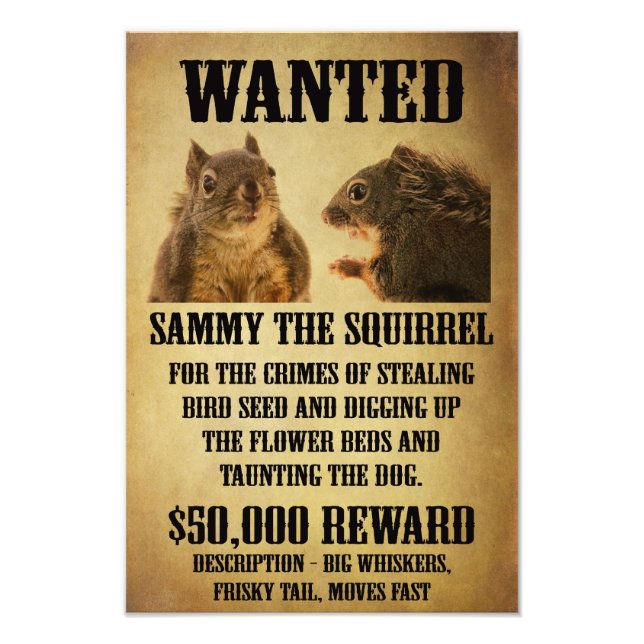 Wanted Poster with Squirrel (Front)