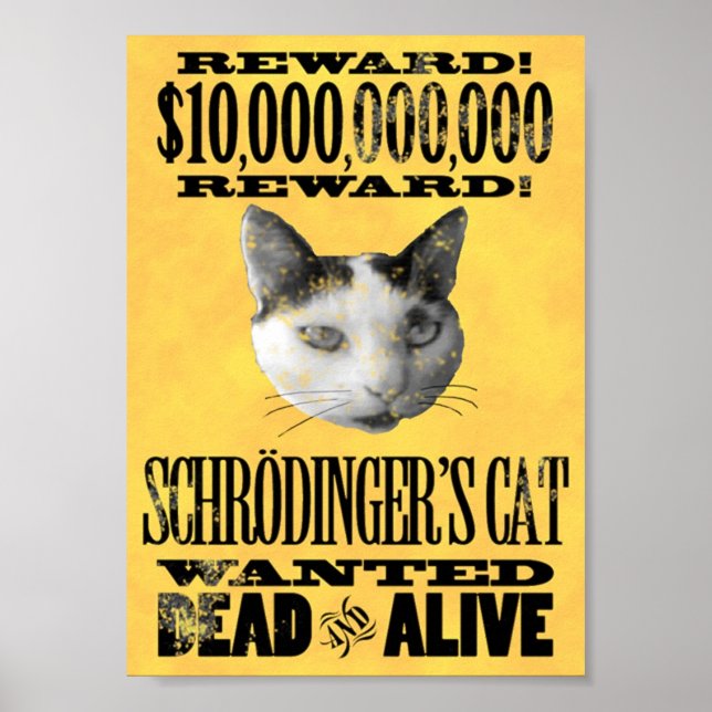WANTED: SCHRODINGER'S CAT poster (Front)